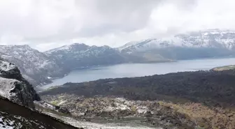 Bitlis'te sahipsiz hayvanları izleme ve denetim toplantısı yapıldı
