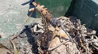 Bodrum'da Deniz Dibi Temizliği: 50 Ton Atık Toplandı