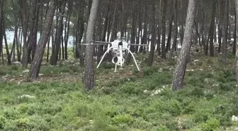 Bodrum'da Orman Yangınlarıyla Mücadele İçin Denetim Başlatıldı