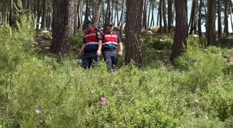 Bodrum'da Orman Yangınlarına Karşı Denetimler Artırıldı