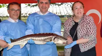 Bakan Şimşek, Batman Petrolspor'u Ziyaret Etti