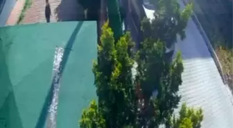 Büyükçekmece'de 'gürültü yaptınız' diyen sopalı adam, komşularına dehşeti yaşattı