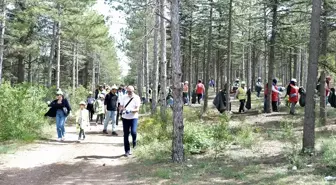 Çankırı'da 'Orman Benim' Etkinliği Düzenlendi