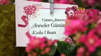 Anneler Günü İçin Bolu'daki Çiçekçilerde Yoğunluk Başladı