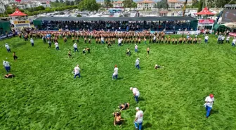Türkiye Yağlı Güreş Ligi Manavgat'ta Başladı