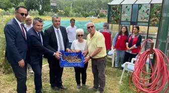 Dalaman'da Çilek ve Salep Hasadına Öğrenciler Katıldı
