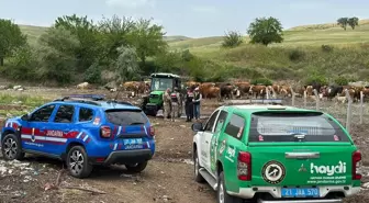 Diyarbakır'da Jandarma Ekiplerinden Kurban Bayramı Öncesi Bilgilendirme
