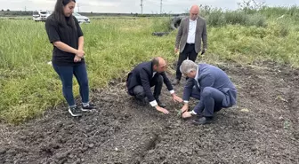 Edirne'de Çiftçilere 66 Bin Aşılı Karpuz Fidesi Dağıtıldı