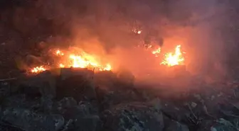 İspir'de Orman Yangını Vatandaşlar Tarafından Söndürüldü