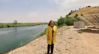 Karkamış Antik Kenti'nde Kuş Gözlem Kuleleri Yapılacak