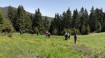 Gümüşhane'de Doğa Severler Yaylalarda Yürüyüş Yaptı