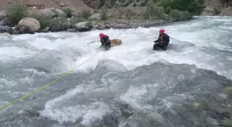 Yüksekova'da Kaybolan Genç İçin Arama Çalışmaları Devam Ediyor