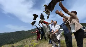 Hatay'da Yaralı 10 Kuş Tedavi Edilerek Doğaya Bırakıldı