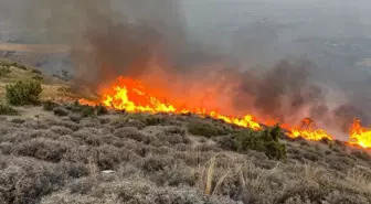 Hatay'da Zeytinlik ve Makilik Alanda Yangın Söndürüldü