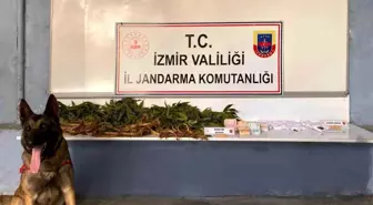 İzmir'de Uyuşturucu Ticareti Operasyonu