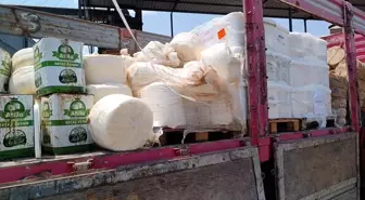 İzmir'de 7 Ton Uygunsuz Peynir İmha Edildi