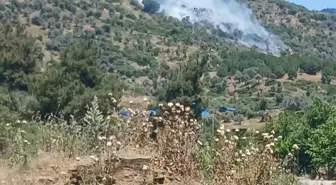 Bayındır'da Zeytinlik ve Makilik Alanda Yangın