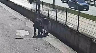 Ordu'da Jandarma, Nefes Borusuna Çikolata Kaçan Çocuğu Kurtardı