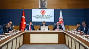 Kamu denetçileri TBMM'de milletvekillerini bilgilendirdi