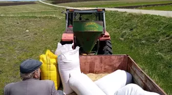Kars'ta Bahar Ekinleri Toprakla Buluşuyor