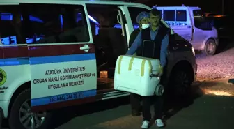 Beyin Ölümü Gerçekleşen Hastanın Organları Bağışlandı
