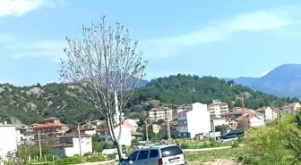 Kastamonu'da Trafik Kazası: 2 Yaralı