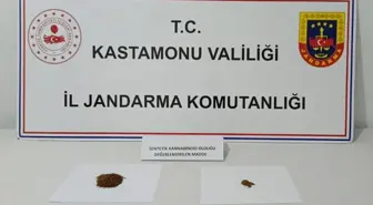 Kastamonu'da Uyuşturucu İle Yakalanan Zanlı Tutuklandı