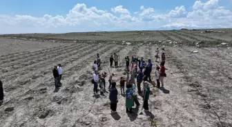 Kayseri'de Öğrenciler Gilaburu Dikimine Katıldı