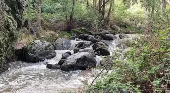Kızılcahamam'daki Kral Havuzu: Doğaseverler için Eşsiz Bir Rota