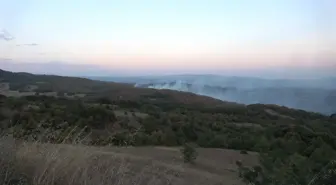 Kocaeli'de Orman Yangınlarına Karşı Önlemler Artıyor