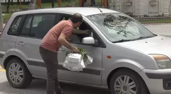 Malatya'da Fideler Üreticilere Dağıtıldı