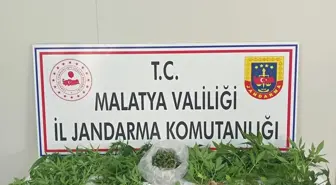 Malatya'da Uyuşturucu Operasyonu: 24 Gözaltı, 3 Tutuklama