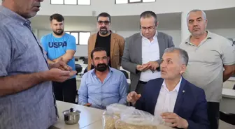 Mardin'de Arpa Hasadı Başladı