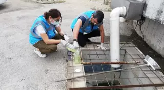 Marmara Denizi Eylem Planı Kapsamında 272 Bin İşletme Denetlendi