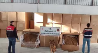 Menderes'te Kaçak Tütün Operasyonu: 2 Şüpheli Yakalandı