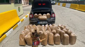 Mersin'de Kaçak Tütün ve Makaron Operasyonu: 4 Gözaltı