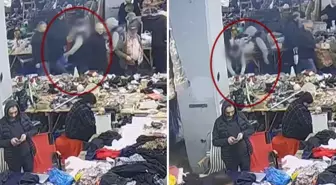 Minguzzi cinayetinde sanıkların pazar tezgahından bıçak aldığı anlar kamerada