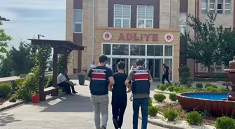 Kahramanmaraş'ta Motosikletle Sürüklenen Köpek Olayı: Sürücüye Ceza!