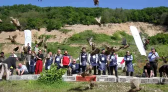Kahverengi Kokarca ile Mücadelede Biyolojik Çözüm: 800 Sülün Doğaya Salındı
