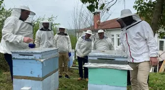Ordu'da Uluslararası Arıcılık Eğitimi Gerçekleştirildi