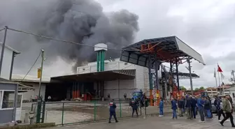 Karasu'da Fındık Kırım Fabrikasında Yangın
