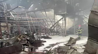 Karasu'daki Fındık Kırım Fabrikasında Yangın