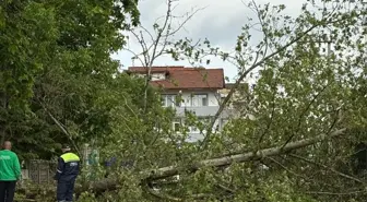 Sakarya'da Fırtına ve Dolu Hayatı Olumsuz Etkiledi