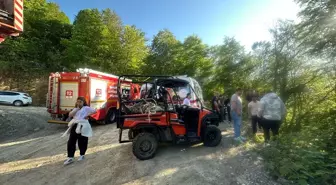 Sapanca'da Arazi Aracının Devrilmesi Sonucu Karı Koca Yaralandı