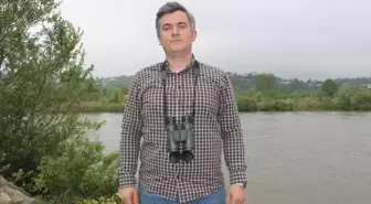 Sakarya'da Fotokapan ile Su Samuru Görüntülendi