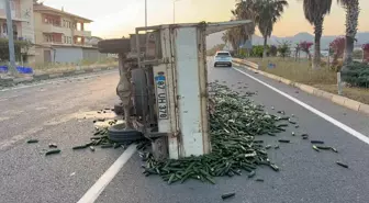 Antalya'da Kontrolden Çıkan Kamyonet Devrildi, Salatalıklar Yola Saçıldı