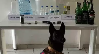 Samsun'da Sahte Alkol Operasyonu: 25 Litre Sahte İçki ve 65 Litre Etil Alkol Ele Geçirildi