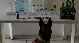 Sahte İçki Üretimi Yapan Zanlı Gözaltına Alındı