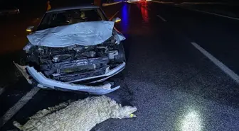 Siverek'te Koyun Sürüsüne Çarpan Otomobilde 3 Yaralı