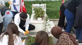 Şarkışla'da üniversite öğrencileri şehitliği temizledi